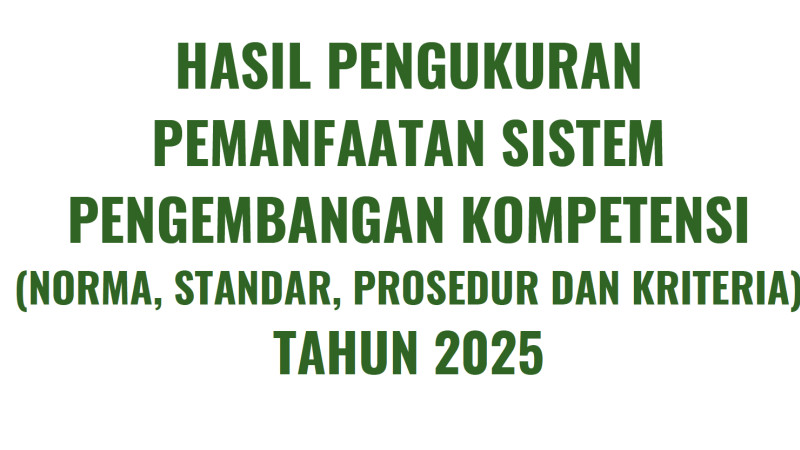 Laporan Pemanfaatan NSPK 2025